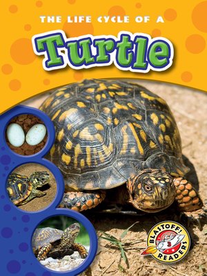 cover image of The Life Cycle of a Turtle